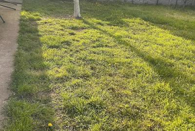 Casă cu Teren 873 Mp în Găneasa - 5