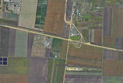Proprietate specială, de 5,066 mp, în Dragalina - 11