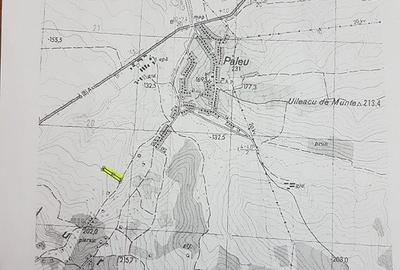 Teren de 5757 mp, în Paleu - 1
