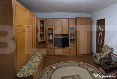 Apartament cu 2 camere decomandat în Aradul Nou - 9