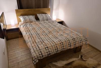 Apartament cu 2 camere decomandat, mobilat în Gara - 4
