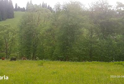 Teren de 500 mp, în Central - 4