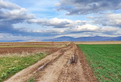 Teren agricol extravilan de 8400 mp, în Tărlungeni - 5