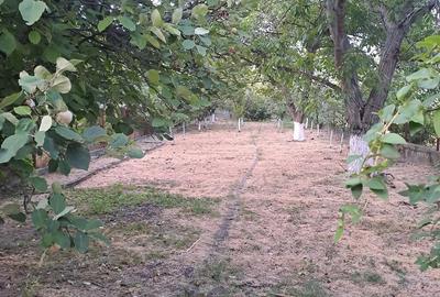 Casă cu Teren 1000 Mp în Central - 4