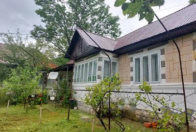 Casă cu Teren 1000 Mp în Lepșa