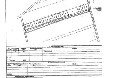 Teren Construcții intravilan de 600 mp, în Brănești - 2