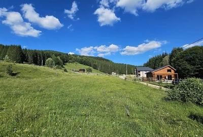 Teren Construcții intravilan de 2290 mp, în Trăisteni - 2