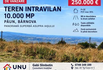 Teren intravilan de 10000 mp, în Bucium