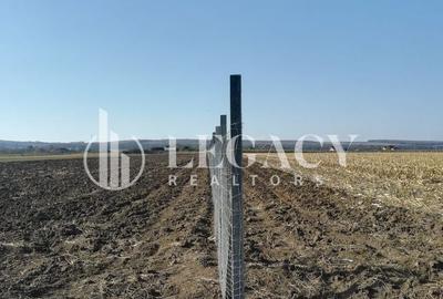 Teren agricol intravilan de 30101 mp, în Tudor Vladimirescu - 3
