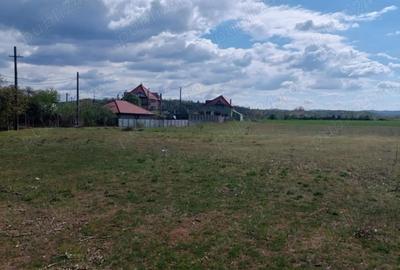 Teren de 2540 mp, în Șimian - 2