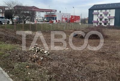 Spațiu comercial, în Turnișor