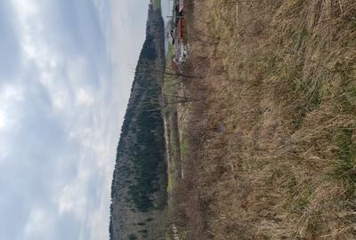 Teren în Moacșa - 3