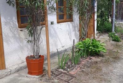 Casă cu 3 camere în Daneți - 8