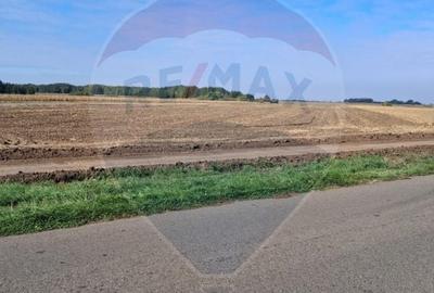Teren agricol extravilan de 21177 mp, în Santăul Mic - 4