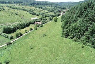 Teren de 8000 mp, în Micești - 2