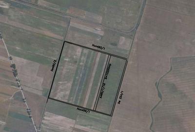 Teren de 35000 mp, în Giroc - 3