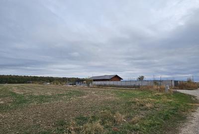 Teren Construcții intravilan de 647 mp, în Snagov - 6