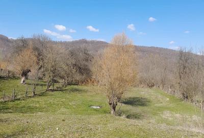 Teren de 2650 mp, în Malurile - 2