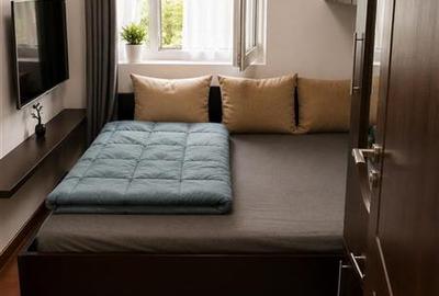 Apartament cu 2 camere decomandat, mobilat în Mureșeni - 3