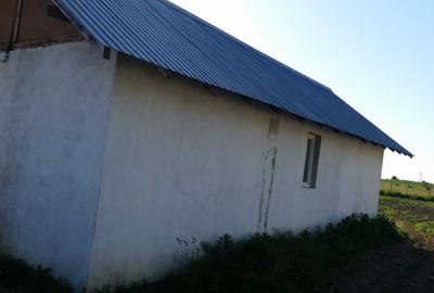Casă cu 2 camere în Vulturu