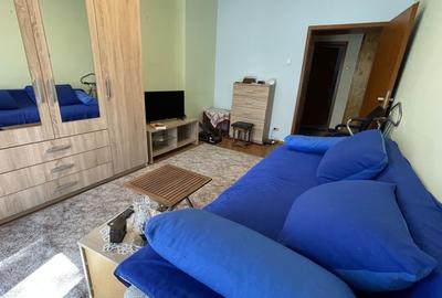 Apartament cu 2 camere decomandat, mobilat în Șagului - 6
