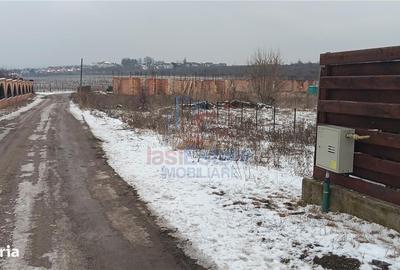 Spațiu comercial, în Bârnova - 3