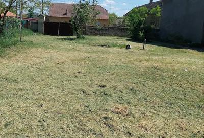 Casă cu Teren 2158 Mp în Comloșu Mare - 8