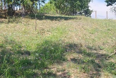 Teren de 3231 mp, în Milcoiu - 4