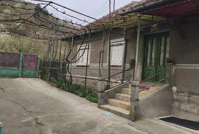 Casă cu 3 camere cu Teren 700 Mp în Hărău - 1