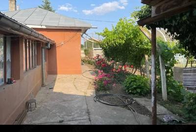 Casă cu Teren 1000 Mp în Central - 1