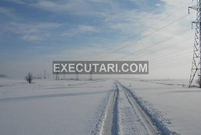 Teren în Dascălu