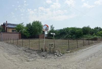 Teren de 404 mp, în Mogoșoaia - 3
