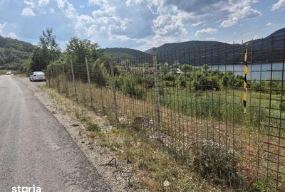 Teren de 1400 mp, în Teliucu Inferior