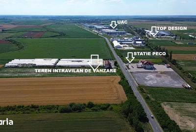 Teren de 9482 mp, în Medieșu Aurit - 5