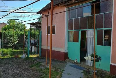 Casă cu 4 camere cu Teren 1300 Mp în Șicula - 2