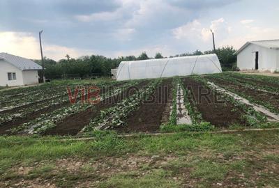 Teren de 30000 mp, în Nicolae Bălcescu - 6