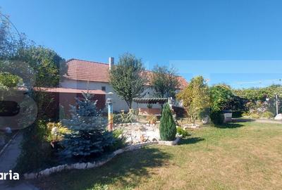 Casă cu 3 camere cu Teren 3860 Mp în Chichiș