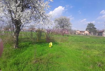 Teren Construcții intravilan de 3400 mp, în Buturugeni - 27