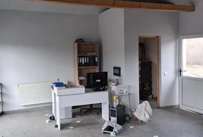 Casă cu Teren 8000 Mp în Panticeu - 5
