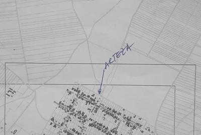 Teren de 15000 mp, în Ghiroda