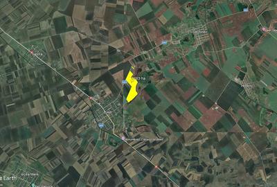 Teren de 1030000 mp, în Biled - 2