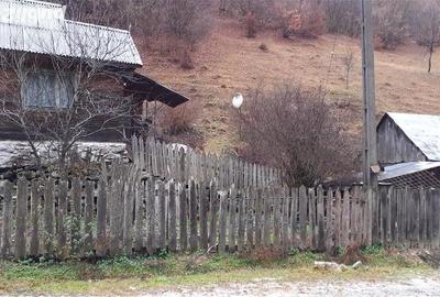 Casă cu 3 camere cu Teren 4900 Mp în Central