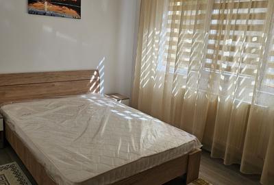 Apartament cu 2 camere semidecomandat în Drumul Carului - 2