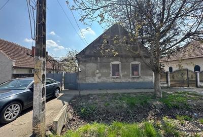 Casă cu Teren 730 Mp în Lovrin - 2