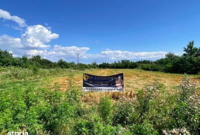 Teren de 7500 mp, în Săbăreni