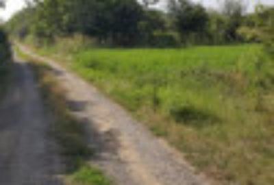 Teren extravilan de 10000 mp, în Coșoveni - 1