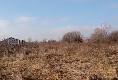 Teren Construcții intravilan de 2200 mp, în Cernica - 6