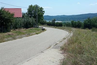 Teren în Sud - 2