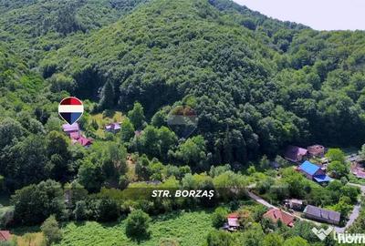 Casă cu 3 camere cu Teren 388 Mp în Valea Borcutului
