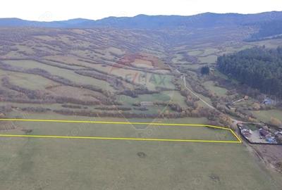 Teren de 5800 mp, în Purcăreni - 2